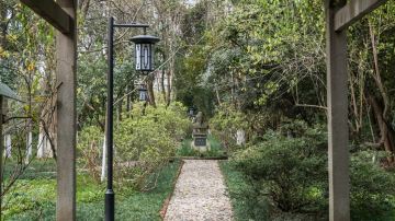 浙江大学(华家池校区)-植物园