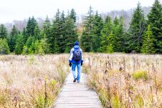 潘安湖国家湿地公园-徐州