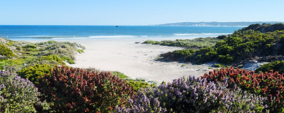 2021棕榈滩县(palm beach county)好玩的旅游景点/游玩攻略_10月