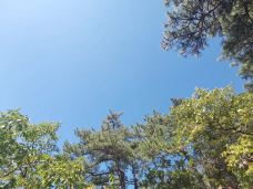 五凤山森林公园-简阳-滇国剑客