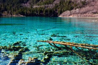 四川旅游口碑好导游，四川品质好导游，四川评价好导游，四川信誉好导游，导游篇