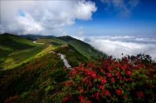 大围山国家森林公园-浏阳-首席监理