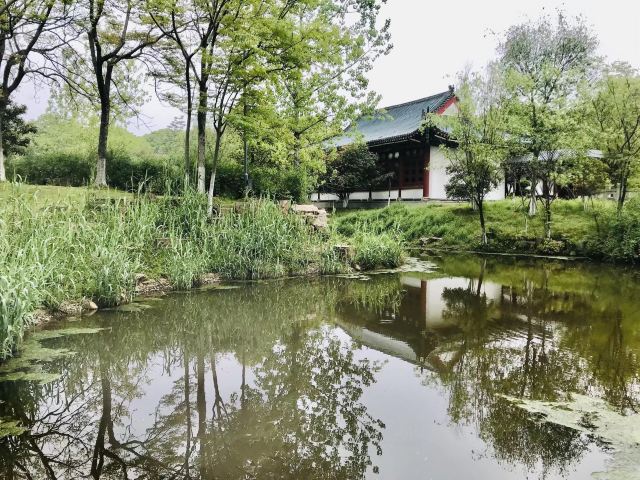 古琴台旅行图片 2