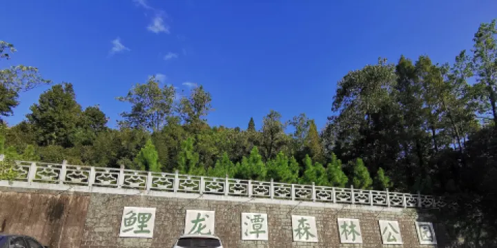 鯉龍潭森林公園