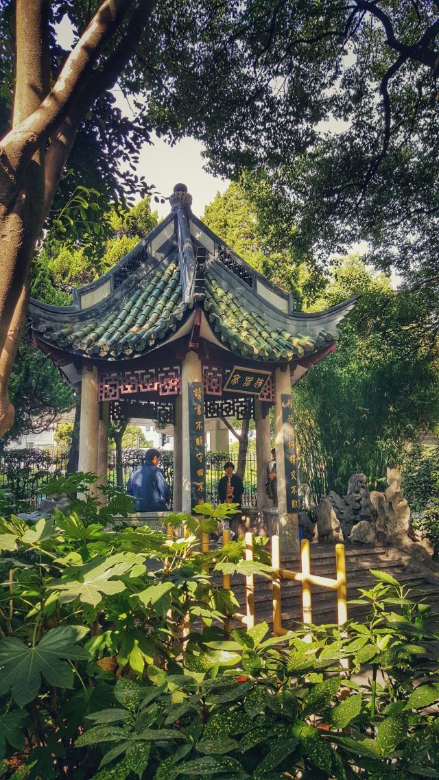 漕溪公园旅行图片 2