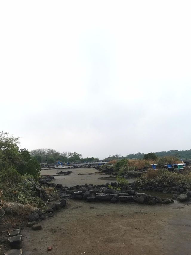 千年古盐田旅行图片 3