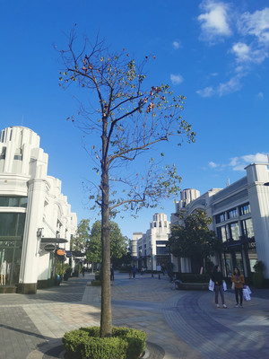 奕欧来比斯特——上海风景最嗲的购物村