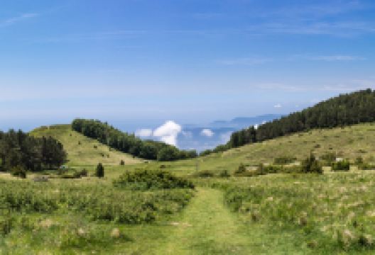 Campocecina景点图片