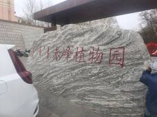 赤峰植物园-赤峰-YoYo_0X1W7N9O