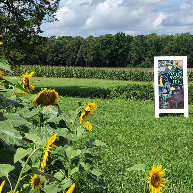 The Bed and Breakfast at Peace Hill餐厅图片