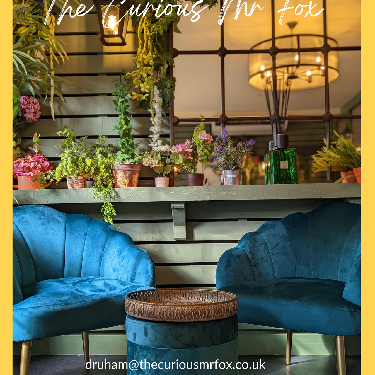 The Curious Mr Fox餐厅图片