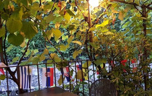 Wine Note da Kita餐厅图片