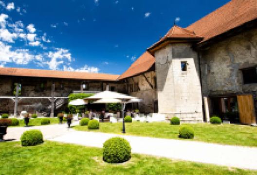 Restaurant du Château de Vuissens美食图片