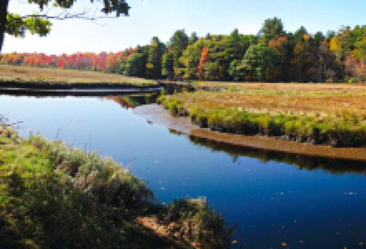 Rachel Carson National Wildlife Refuge景点图片