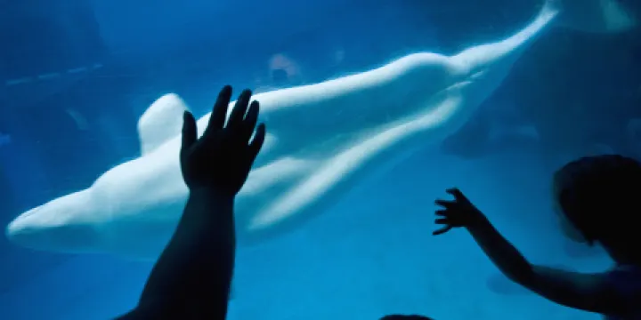 謝德水族館