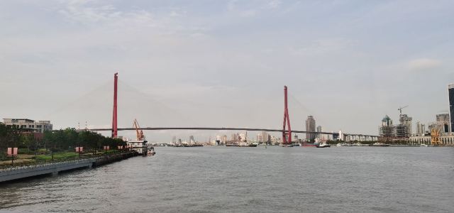大桥公园旅行图片 1