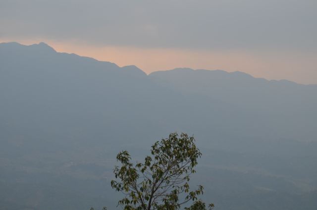 高黎贡山植物园旅行图片 1