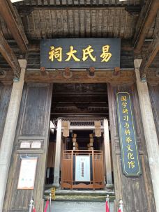 万载古城-万载-大松树叶子