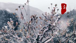 天岳幕阜山首场雾凇倒计时，数条精选路线任你选