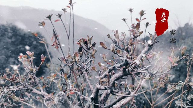 天岳幕阜山首场雾凇倒计时,数条精选路线任你选