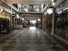 卡朗加黑皮路-奥克兰-多多