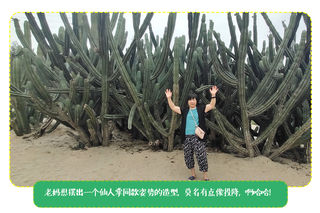 厦门攻略 |和胖妈好吃懒做游厦门,逛吃逛吃模式