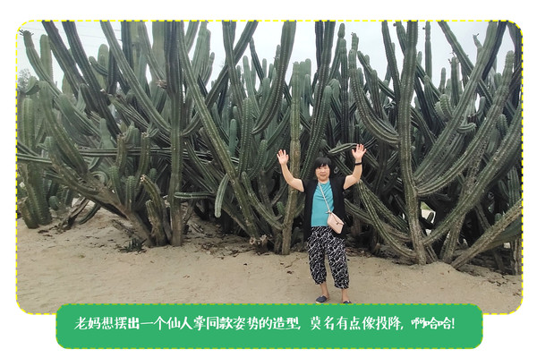 厦门攻略 |和胖妈好吃懒做游厦门，逛吃逛吃模式