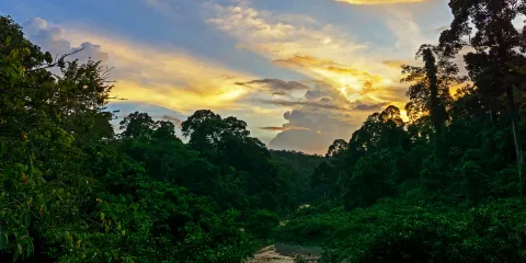 小梘城市生態濕地公園