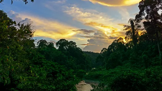 小梘城市生態濕地公園
