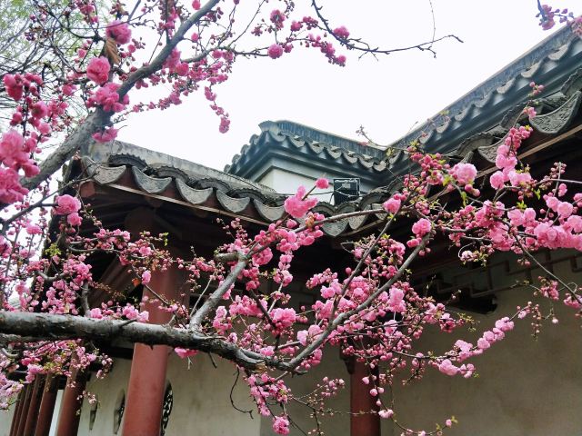 宣化人民公园旅行图片 2