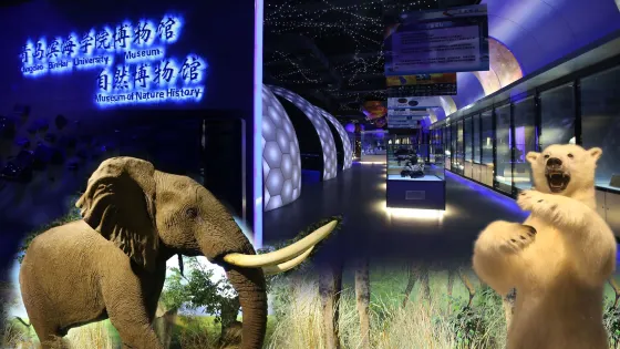青島濱海學院世界動物自然生態博物館