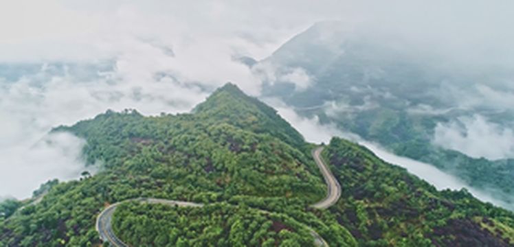 宁波避暑胜地,告别“桑拿天”,享受来自夏日里的第一份清凉