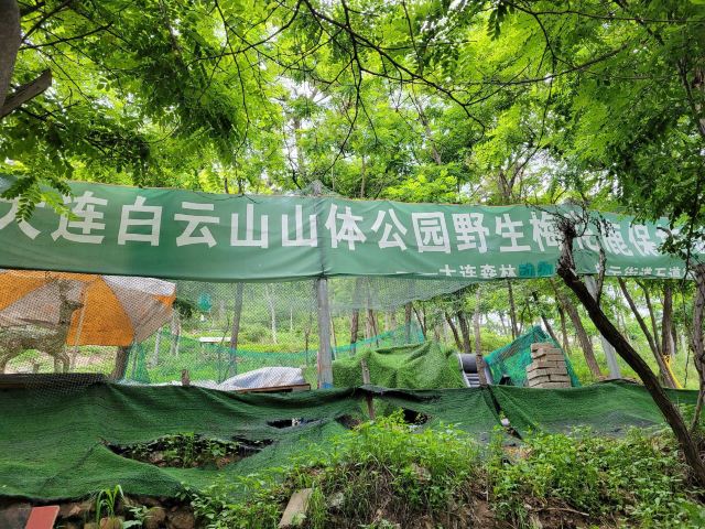 白云山山体公园旅行图片 2