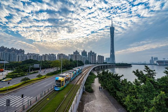 广州塔景点图片 15