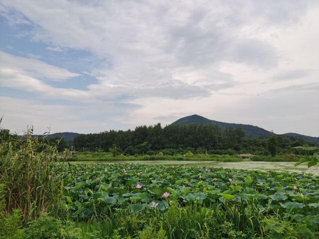 佘村明清代建筑群旅行图片 4
