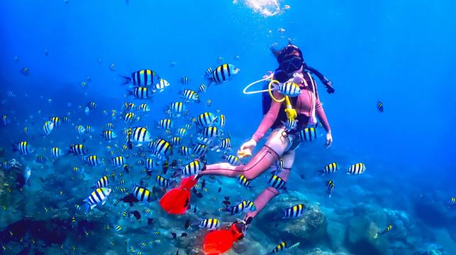 亚龙湾爱琴海PADI潜水度假村