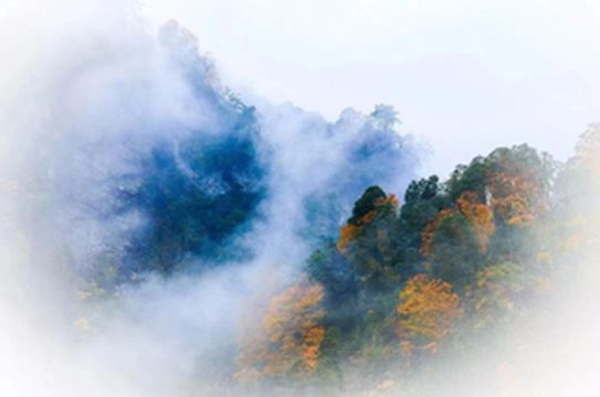 《净土《净土家园》阿坝比你想象中还要惊艳!家园》阿坝比你想象中还要惊艳!