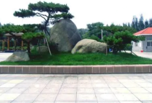 王母垴植物公园景点图片
