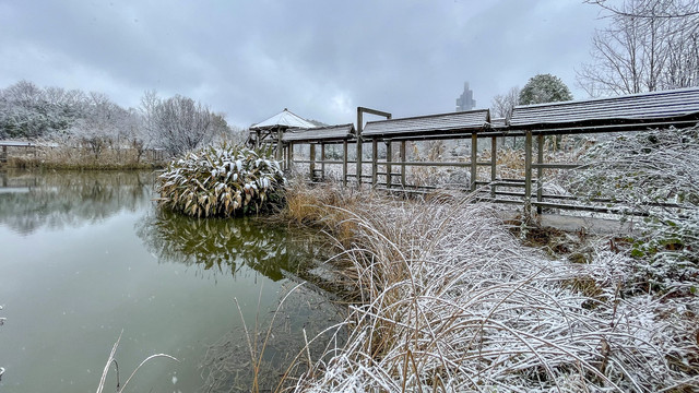 美,贵阳观山湖雪景惹人醉