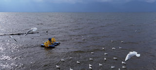 2021年初冬云南行之二大理、沙溪古镇