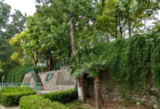 月亮湖休闲广场景点图片