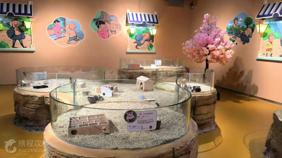 西遊動物城