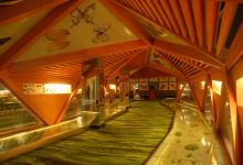 青藏高原自然博物馆景点图片