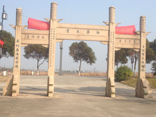 古樟园,吴中第一树的气魄