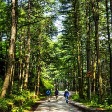 龙峪湾国家森林公园图片