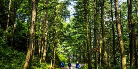 龍峪灣國家森林公園