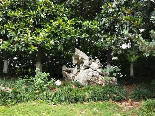 徐泾健康主题公园,交通便利小公园