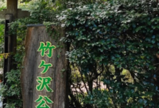 Okawatakegasawa Park景点图片