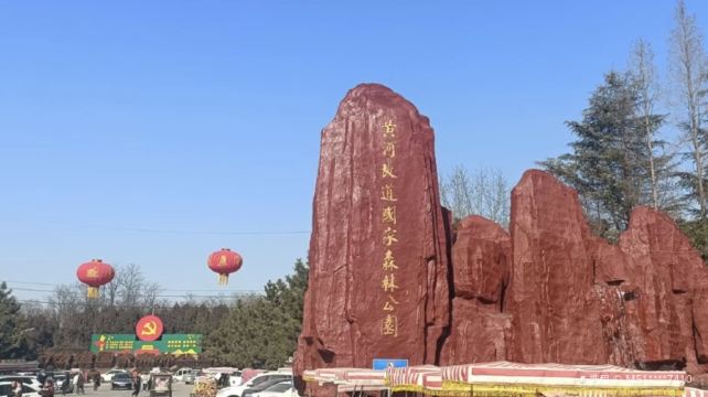 夏津黄河故道森林公园