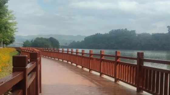 梅江區芹洋濕地公園